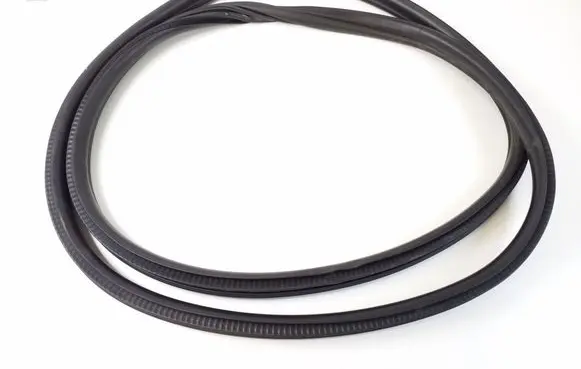 Mini Cooper Countryman F60 Front door rubber seal 7390091