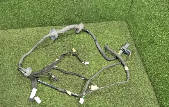 Rear door wiring loom
