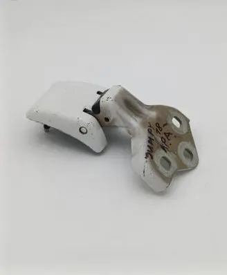 Rear door lower hinge