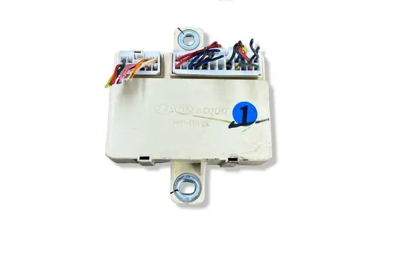 KIA Sportage Door central lock control unit/module 919401F010