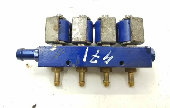 Renault Kangoo I LP gas injector 67R011030 110R011087