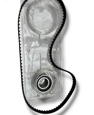 Fiat Punto (188) Timing belt 1611882680
