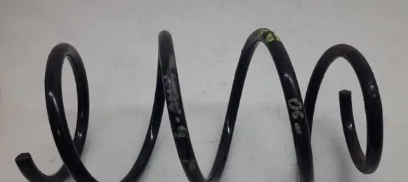 Front coil spring