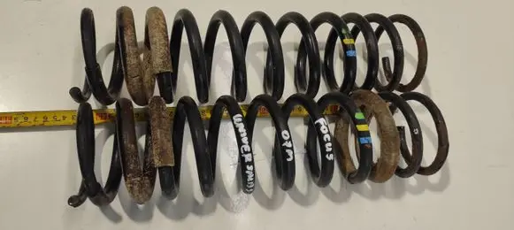 Ford Focus Rear coil spring