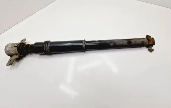 Citroen C4 II Rear shock absorber/damper 9811519480 0081037H01 03091000478