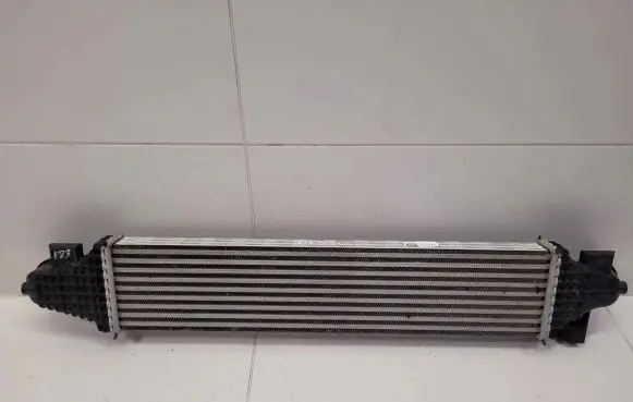 Ford Kuga III Intercooler radiator LX61-6K775-AD