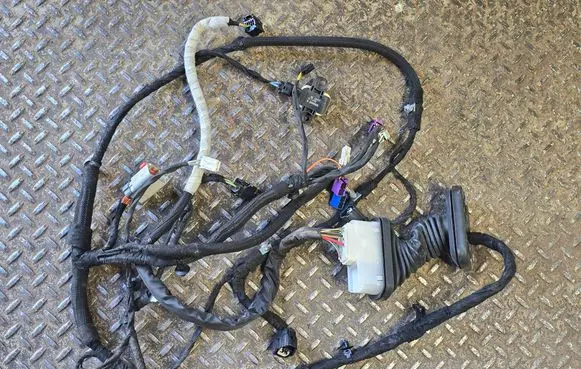 Dodge Challenger Front door wiring loom P68278031AC 68278031AC
