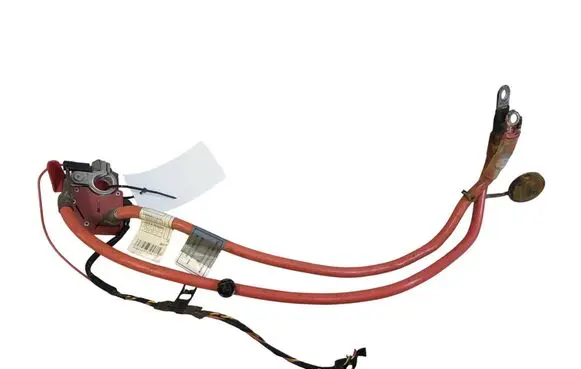 BMW 1 F20 F21 Positive cable (battery) 923001704 10057310