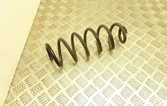 Dacia Sandero Rear coil spring