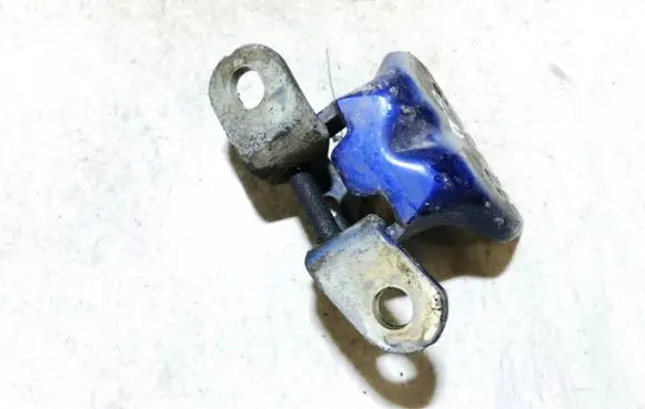 Rear door lower hinge