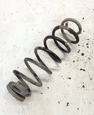 Rear coil spring
