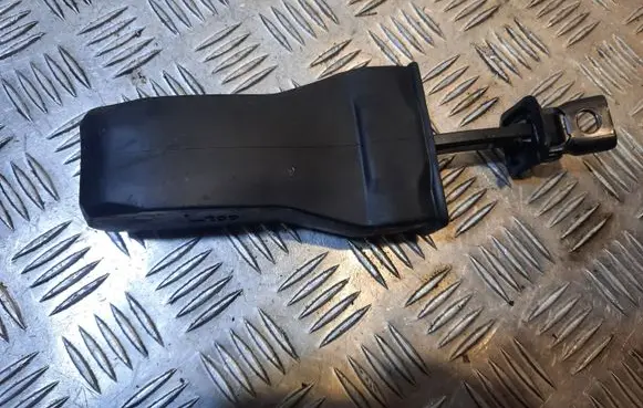 Volkswagen Jetta VI Rear door check strap stopper 5C6839267