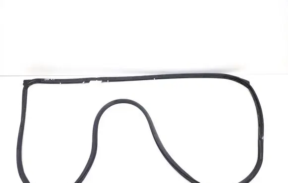 Toyota Hilux (AN10, AN20, AN30) Front door rubber seal 678620K013