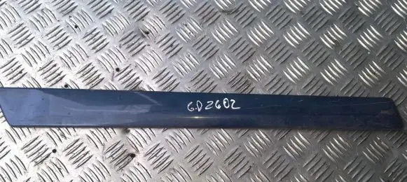 Rear door trim (molding)