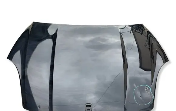 Porsche Cayenne (9Y0 9Y3) Engine bonnet/hood 