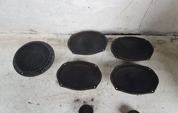 Dodge Caliber Front door speaker