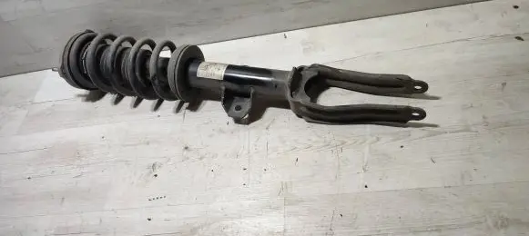 Alfa Romeo Stelvio Front shock absorber/damper 50557501 814904012369