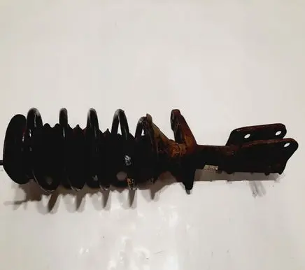 Land Rover Freelander Rear shock absorber with coil spring 2219013125V6