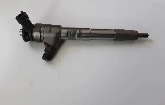 Dacia Dokker Fuel injector 0445110800