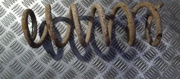 Peugeot 406 Rear coil spring