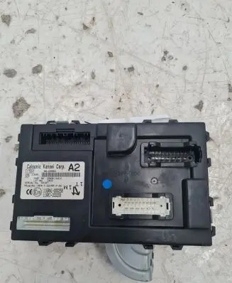 Nissan Juke I F15 Comfort/convenience module 116RAI000258