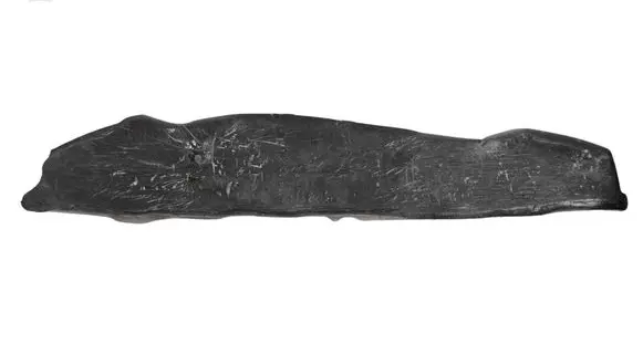 Ford Mustang VI Fender end trim FR3B6316E561A