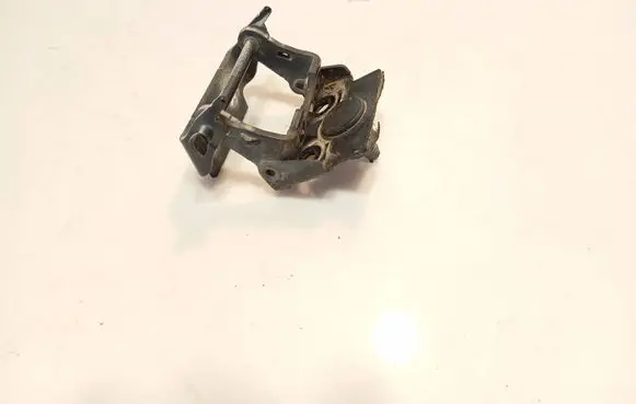 Ford Fusion Rear door lower hinge