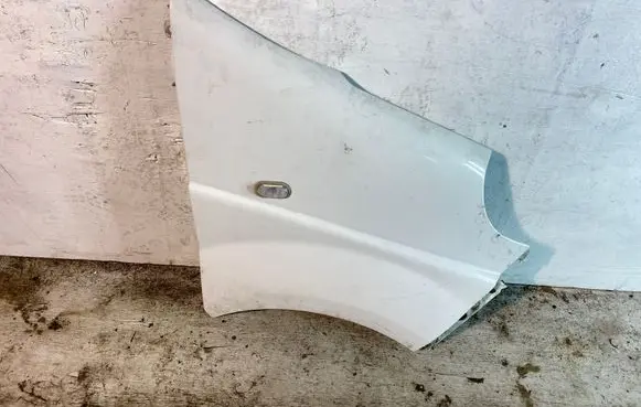 Renault Trafic II (X83) Fender