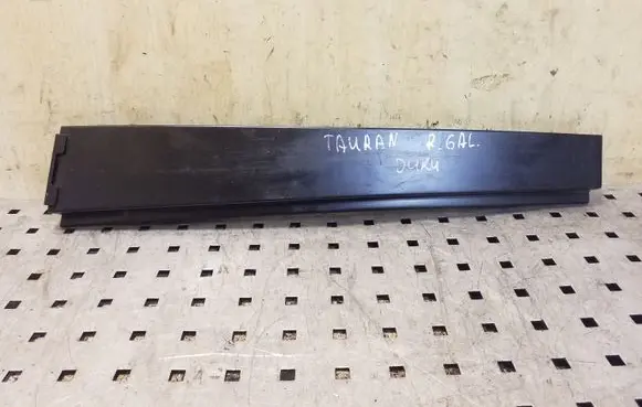 Other rear door trim element