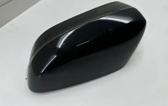 BMW 3 G20 G21 Mirror indicator light 22413041