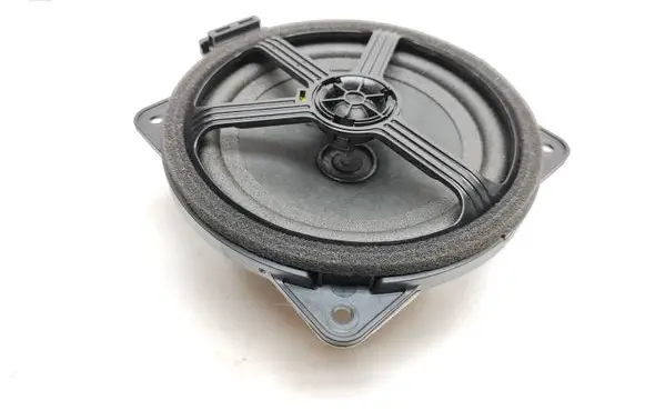 Rear door speaker