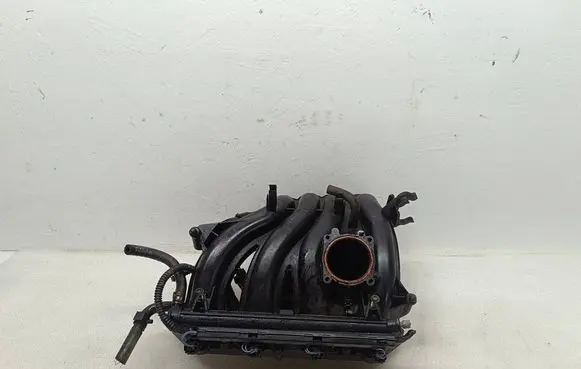 Volkswagen Golf Plus Intake manifold 036129709GT