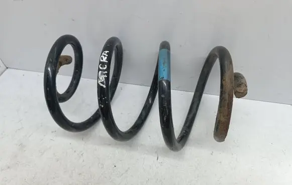 Rear coil spring