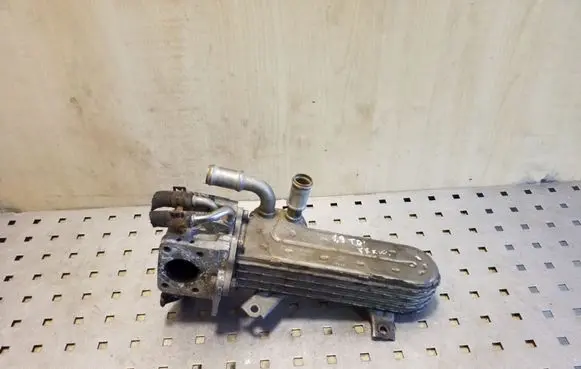 Volkswagen Jetta V EGR valve cooler 038131513AD