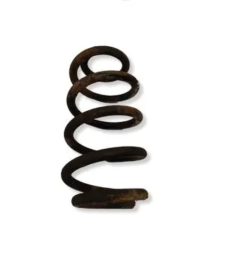 BMW 2 F46 Rear coil spring 