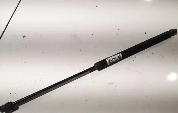 Tailgate/trunk strut/damper