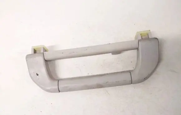 BMW X5 E53 Rear interior roof grab handle 8257226