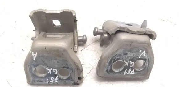 Citroen C4 I Rear door hinge set KCW