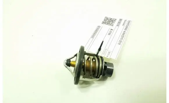 Toyota RAV 4 (XA40) Thermostat 9091603148