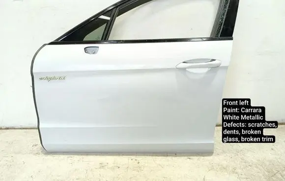 Porsche Panamera (971) Front door A038482