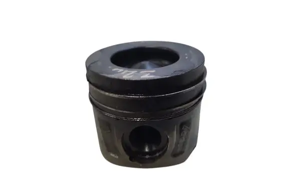 Opel Antara Piston 