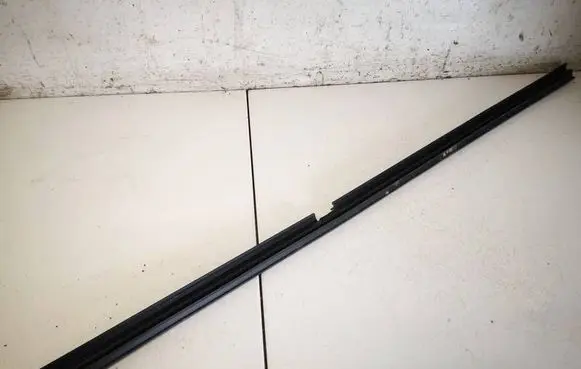 Renault Scenic II - Grand scenic II Front door glass trim molding