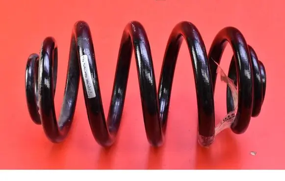 Rear coil spring