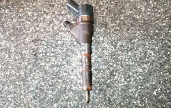 Peugeot 406 Fuel injector 0445110076 9641742880