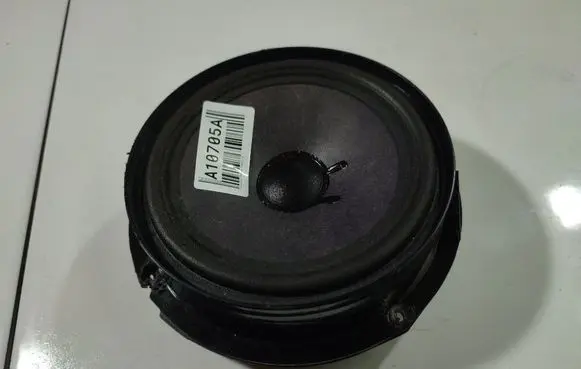Volkswagen PASSAT B5 Front door speaker