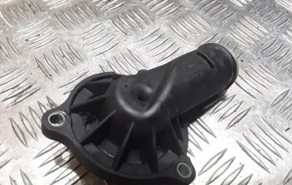 Thermostat/thermostat housing