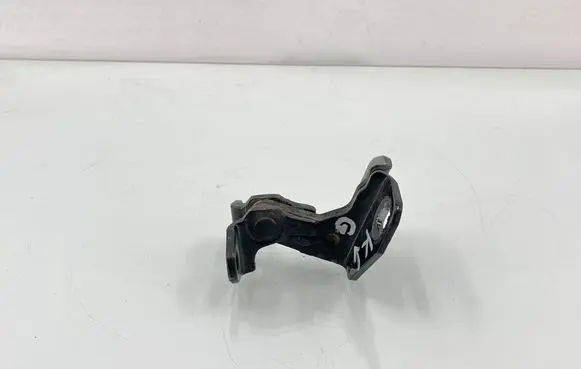 Tesla Model S Rear door lower hinge 6009552