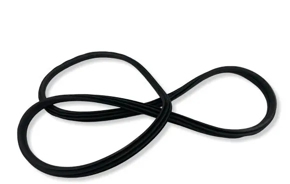 BMW X3 G01 Rear door rubber seal (on body) 7393449