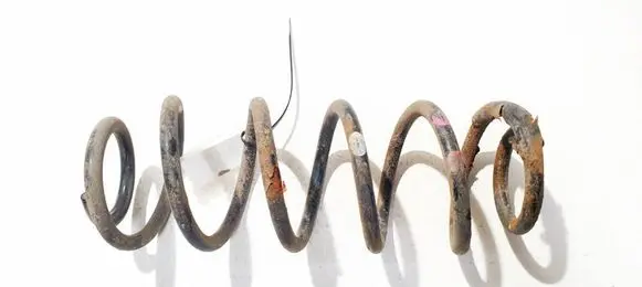 Suzuki Swift I Rear coil spring
