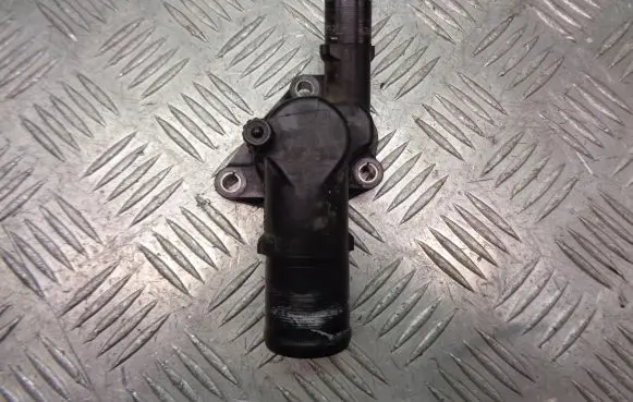 Thermostat/thermostat housing